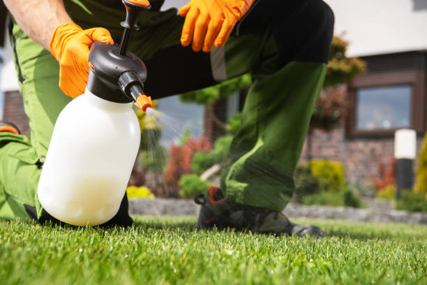 Best Ant Control Services  in Otsego, MI