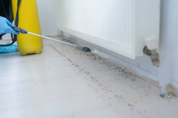 Best Pest Removal Services  in Otsego, MI